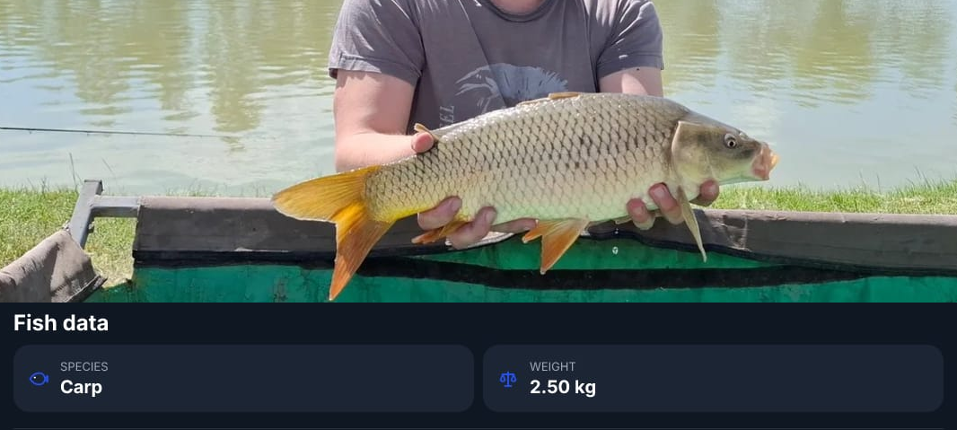 The Best Photo Fishing Log App: Transform Your Catch Photos into Data-Driven Success