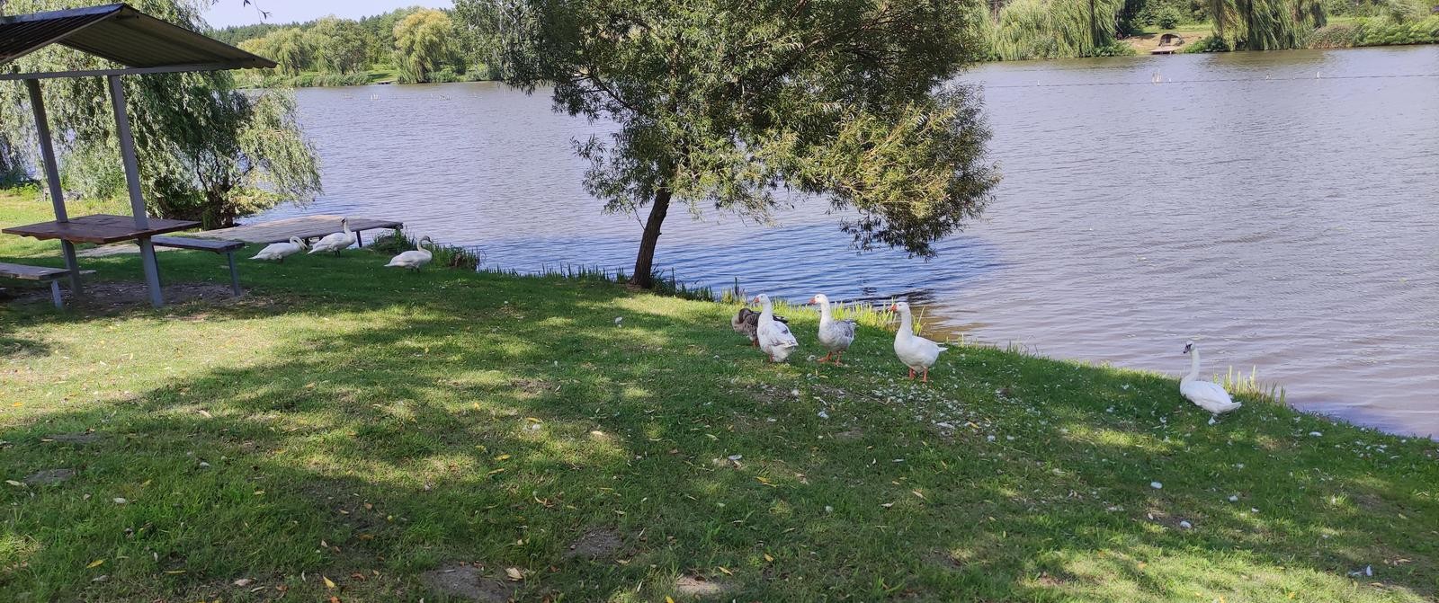 The Ultimate Guide to Carp Fishing in Vojvodina, Serbia
